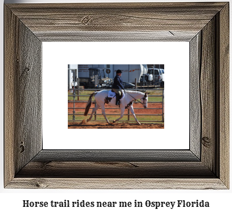 horse trail rides near me in Osprey, Florida